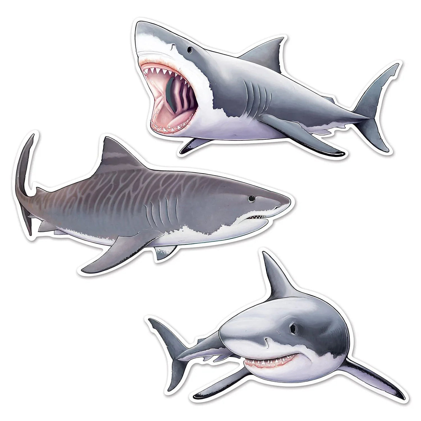 Shark Party - Zurchers