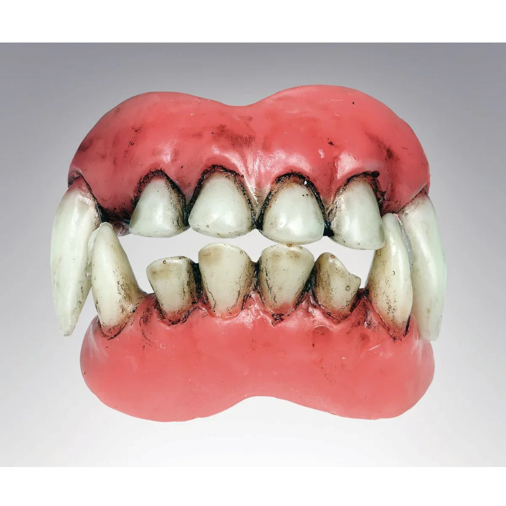 Fake Teeth