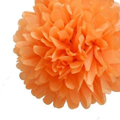 Pom Poms - Zurchers