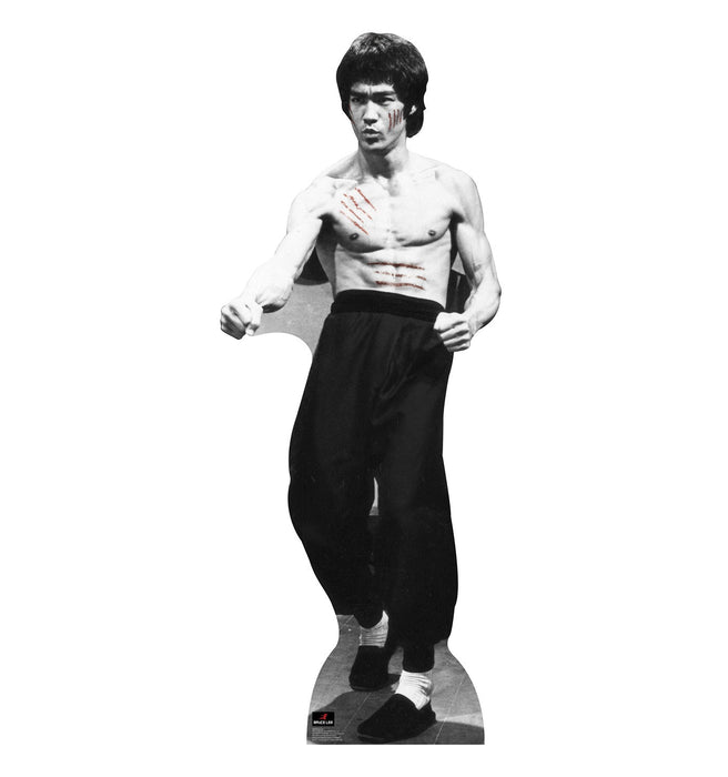 Life-size cardboard standup of a shirtless man with dark hair in a martial arts pose, wearing black pants and white socks, with red lines illustrated across his chest and face.