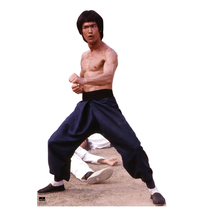 Lifesize cardboard standup of a shirtless man in a martial arts fighting stance wearing dark pants and white socks on a sandy surface against a white background.