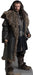 Life-size cardboard standup of a bearded man with long dark hair wearing a fur-lined brown cloak over black chainmail armor, holding a sword, with "The Hobbit" text at the base.