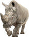 Lifesize cardboard standup of a white rhinoceros facing forward, showing detailed gray textured skin, prominent horns, and sturdy legs against a white background.