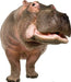 Life-size cardboard hippopotamus cutout with gray-brown textured skin, pink mouth wide open, and front legs visible against a white background.