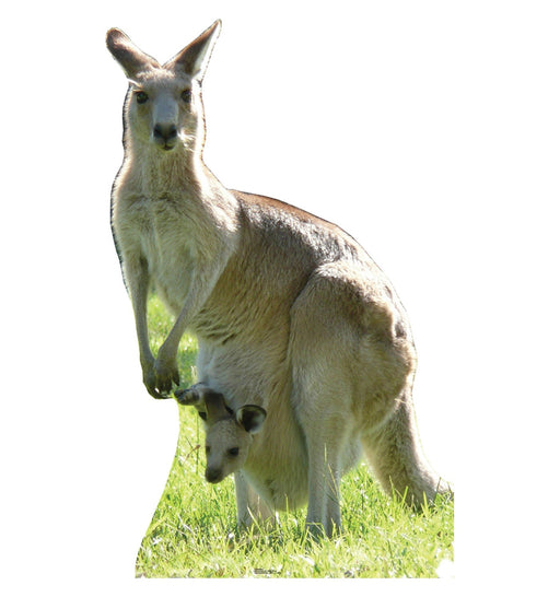 Kangaroo Lifesize Standup *Made to order-please allow 10-14 days for processing*