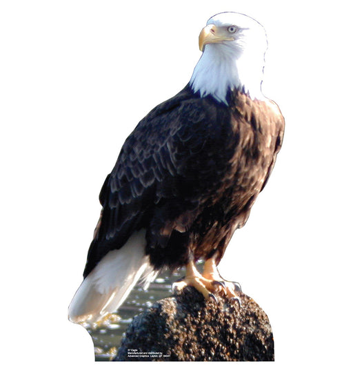 Bald Eagle Lifesize Standup- *Made to order-please allow 10-14 days for processing*