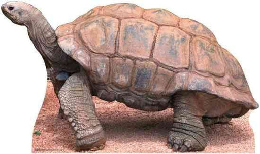 Tortoise Lifesize Standup *Made to order-please allow 10-14 days for processing*