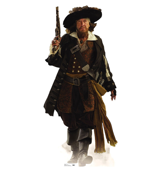 Life-size cardboard standup of a bearded pirate captain wearing a black wide-brimmed hat, ornate dark coat with gold buttons, patterned vest, and gold sash, holding a rifle across his chest.