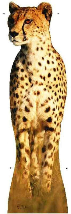 Life-size cardboard standup cutout of a cheetah standing upright with tan and spotted coat, featuring the animal's distinctive head, body, and legs against a white background.