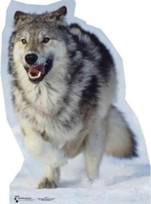 Wolf Lifesize Standup- *Made to order* please allow 10-14 days for delivery