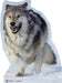 Life-size cardboard standup of a gray and white wolf with alert eyes and open mouth, shown against a white background.