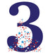 Number 3 Lifesize Standup *Made to order - please allow 10 - 14 days for processing* - Zurchers