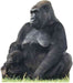 Black gorilla mother and infant child cardboard standup cutout with detailed fur texture and natural sitting pose on grass base.