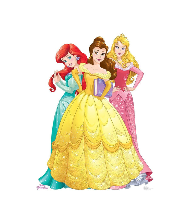 Advanced Graphics 2210 65 x 45 in. Princesses Group