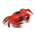 Bright red plastic crab toy with black markings, articulated claws, and jointed legs positioned in a walking stance against a white background.