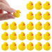 Micro Rubber Ducks - Party Supplies