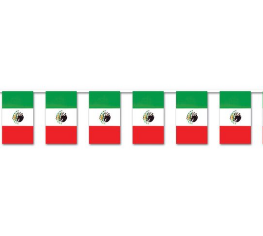 Mexican Flag Pennant Banner | 1ct