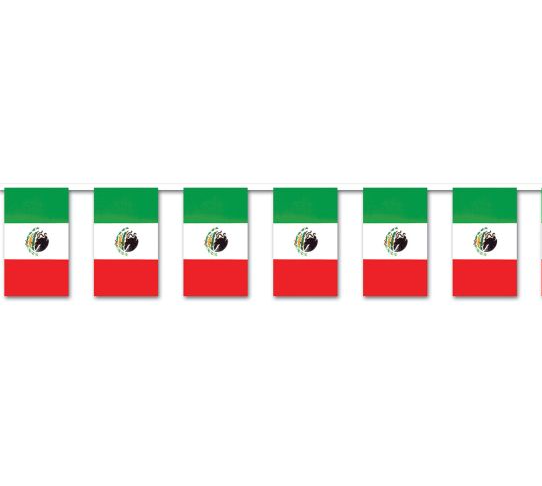 Mexican Flag Pennant Banner | 1ct