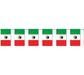 Mexican Flag Pennant Banner | 1ct