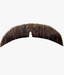 Basic Character Mustache | 1ct