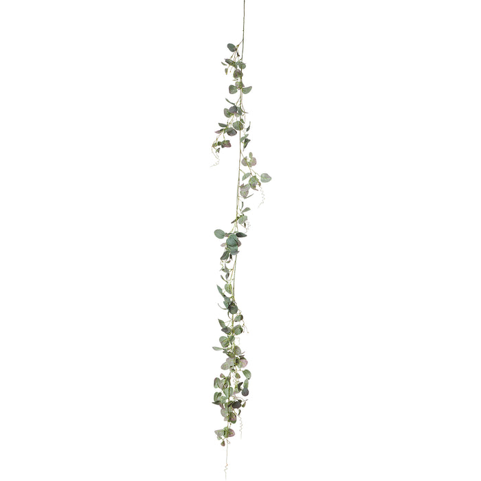 Product photo of Artificial Silver Dollar Eucalyptus Garland 72" - Forest Green — a Portofino party product shown on a plain background.