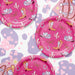 Pink paper plates with cowboy boot, hat, and horseshoe pattern on a white background.