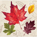 A square napkin featuring watercolor-style autumn leaves on a textured cream background with faint line drawings. The main leaf is a large red maple leaf, with smaller green, yellow, and dark burgundy leaves around it.