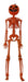Full-length product photo of the Pumpkin Skeleton Orange Ls Joints, shown against a plain white background. A Halloween decoration.