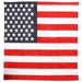 American flag centerpiece featuring white stars on blue background with red and white horizontal stripes, approximately 15 inches tall.