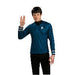 Spock Adult Wig shown against a plain white background — a Halloween costume accessory.