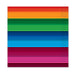 A small beverage napkin printed with a fiesta design. Comes in a pack of 16.