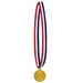 An award medal on a neck ribbon featuring a champion design. Sold as a single piece.