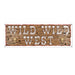 A sign banner printed with a wild wild west design. Sold as a single piece.
