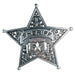 A party decoration featuring a metal sheriff badge design. Sold as a single piece.