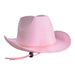 A velour cowboy hat. Sold as a single piece.