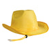 A velour cowboy hat. Sold as a single piece.