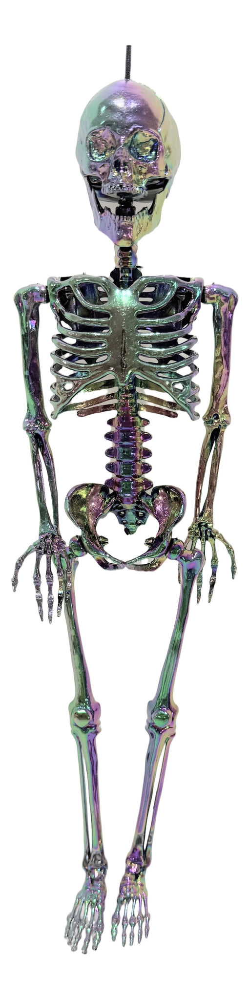 16" Iridescent Skeleton | 1ct