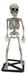 Full-length product photo of the 21" Standing Skeleton, shown against a plain white background. A Halloween decoration.