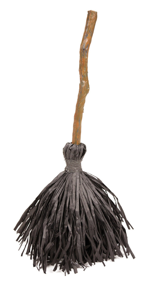 25" Animated Broom | 1ct