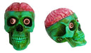 Full-length product photo of the Realistic Vinyl Green Skull with Brown, shown against a plain white background. A Halloween decoration.
