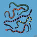 Six colorful coiled toy snakes with striped patterns in red, blue, purple, yellow, and black arranged on a blue background.