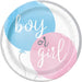 9in Plate Gender Reveal Party
