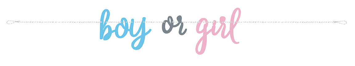 7ft By/Grl Banner Gender Reveal - Party Supplies
