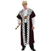 Royal King Robe Adult Size | 1 ct