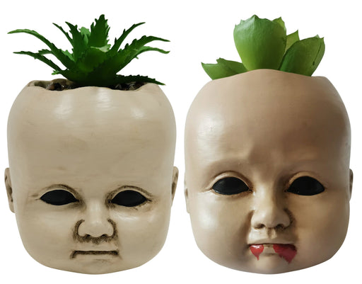 Creepy Doll Succulent | 1ct (random)