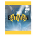 Batman themed party favor bag featuring the iconic yellow bat logo on blue background with Gotham cityscape imagery, pack of eight bags.