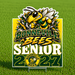 A Bonneville Bees senior 2027 yard sign displayed on a green grass field. The sign features a cartoon bee mascot, the text 'Bonneville BEES SENIOR 2027', and a circular logo on a yellow and green background.