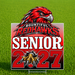 A rectangular Bountiful Redhawks senior 2027 yard sign displayed on a green grass lawn. The sign features a red hawk mascot head, the text 'BOUNTIFUL REDHAWKS', 'SENIOR', and '2027' in bold red and white lettering, with a graphic of a hawk's claw tearing through the number 2.