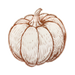 Paper plate shaped like a Brown line drawing of a pumpkin on a white background