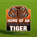Idaho Falls High School Spirit Yard Sign 22"x28" | 1 ct